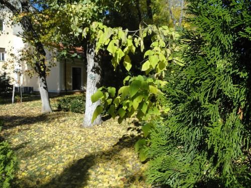 Outdoor Pictures 16