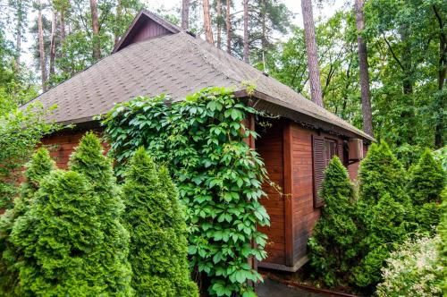 Outdoor Pictures 24