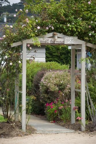 Outdoor Pictures 15