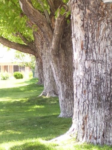 Outdoor Pictures 16