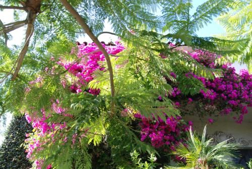Outdoor Pictures 22