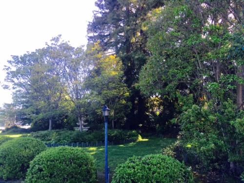 Outdoor Pictures 20