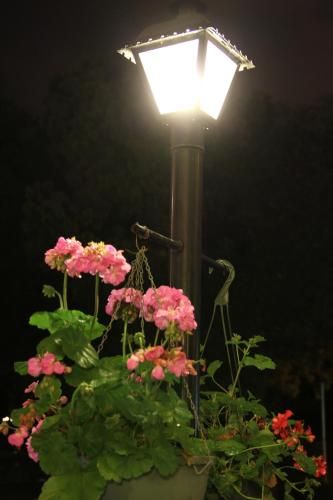 Outdoor Pictures 14