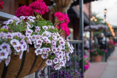 Outdoor Pictures 12