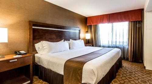 Holiday Inn Hotel & Suites Durango Central, an IHG Hotel