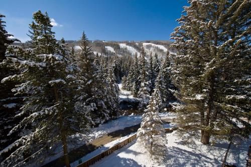 Outdoor Pictures 20