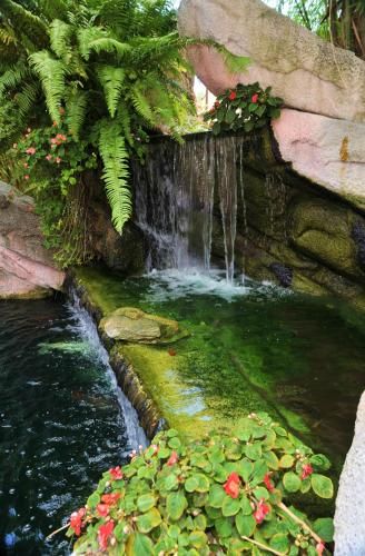 Outdoor Pictures 22