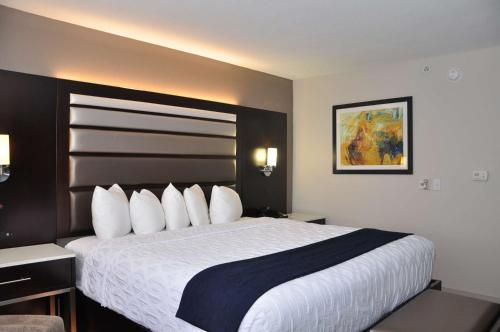 Best Western Premier Jacksonville Hotel