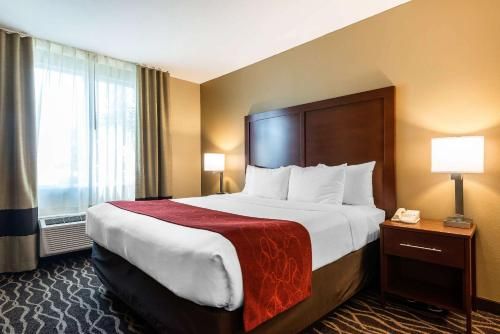 Comfort Suites Tampa Airport North