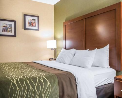 Comfort Inn - Winchester