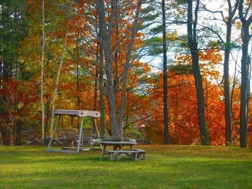 Outdoor Pictures 18