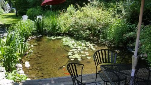 Outdoor Pictures 21