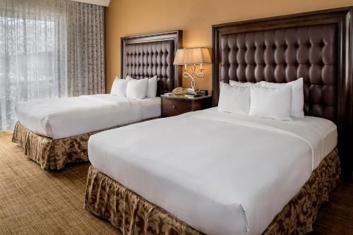 Hilton St. Louis Airport
