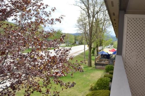Outdoor Pictures 18