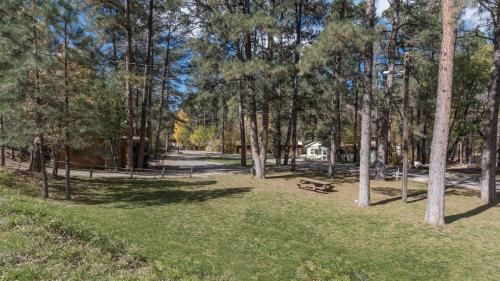 Outdoor Pictures 22
