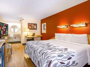 Hotel Image 4