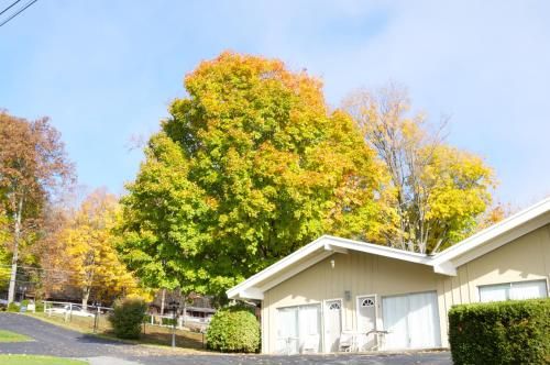 Outdoor Pictures 1