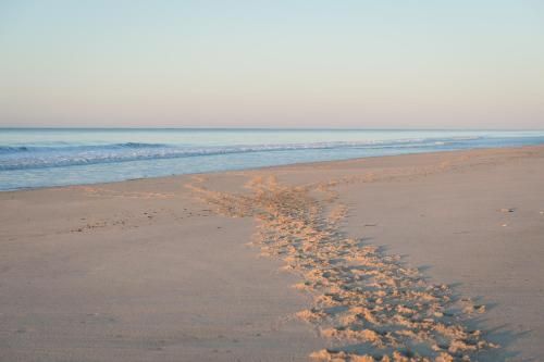 Gurney's Montauk Resort & Seawater Spa