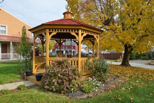 Outdoor Pictures 24