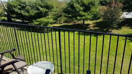 Outdoor Pictures 17