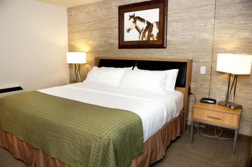 Holiday Inn Spearfish-Convention Center, an IHG Hotel