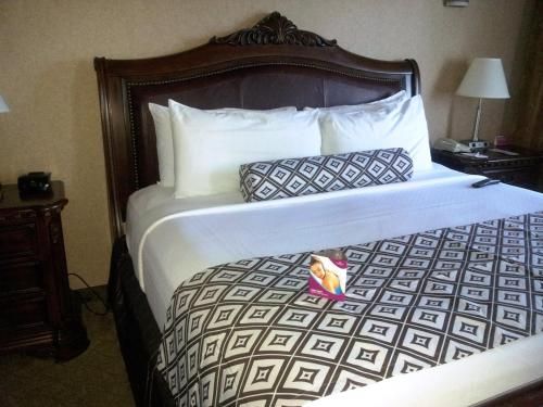 Wyndham Houston near NRG Park - Medical Center