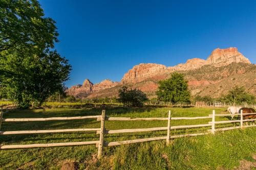 Outdoor Pictures 20