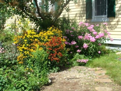 Outdoor Pictures 15