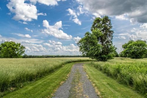 Outdoor Pictures 22