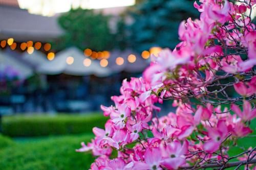 Outdoor Pictures 19