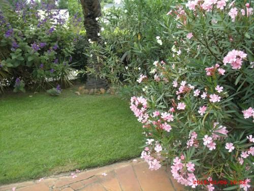 Outdoor Pictures 20