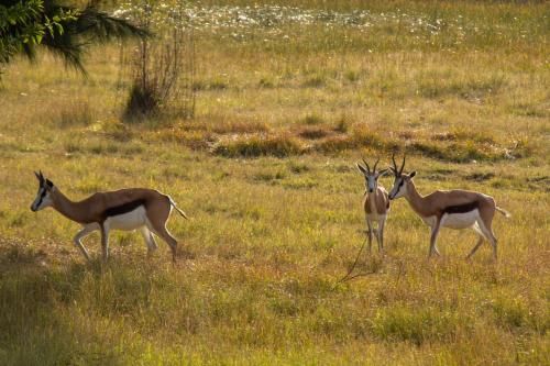 Outdoor Pictures 20