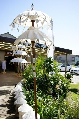 Outdoor Pictures 20