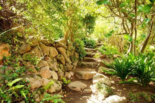 Outdoor Pictures 21
