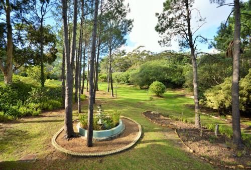 Outdoor Pictures 19