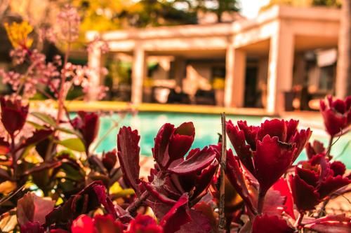 Outdoor Pictures 20