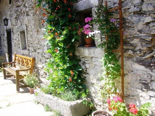 Outdoor Pictures 24