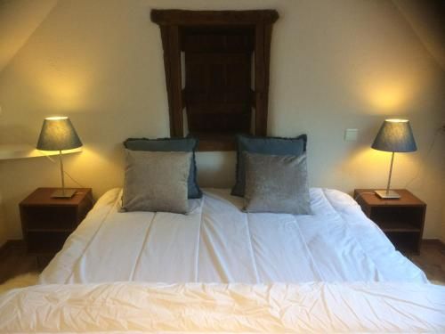 Appartement Domaine de la Freslonnière