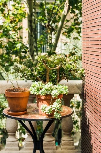 Outdoor Pictures 24