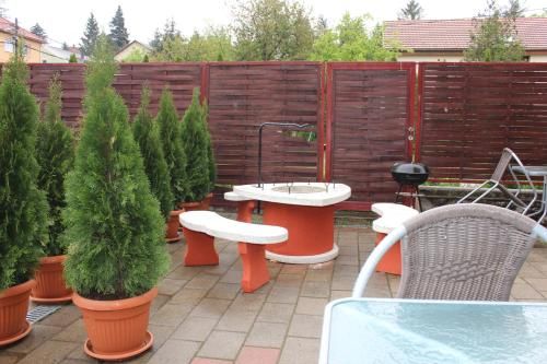 Outdoor Pictures 22