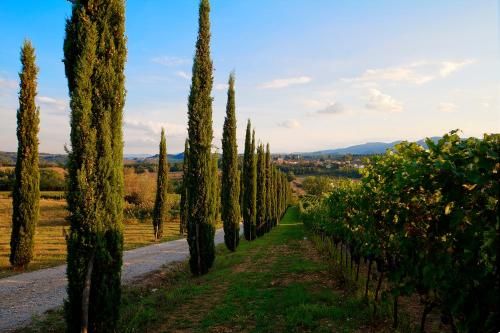 Outdoor Pictures 22
