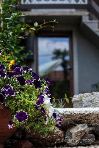 Outdoor Pictures 20