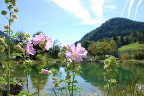 Outdoor Pictures 20