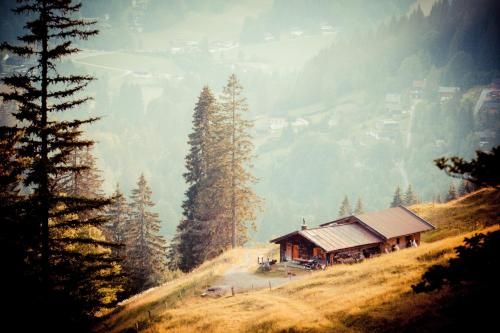 Outdoor Pictures 24