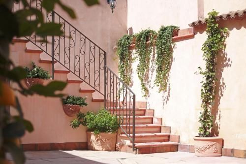 Outdoor Pictures 21