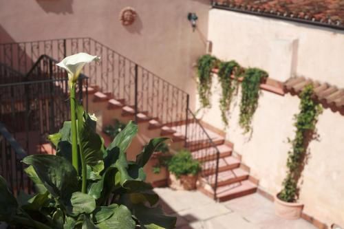 Outdoor Pictures 22