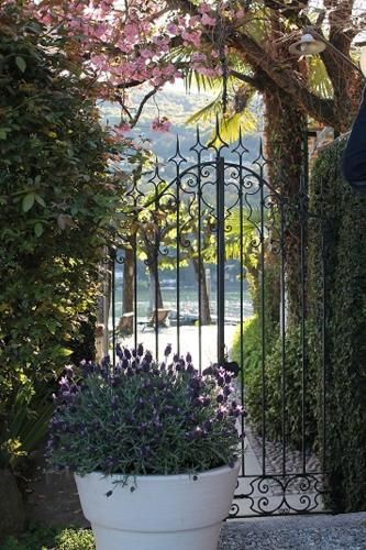 Outdoor Pictures 17