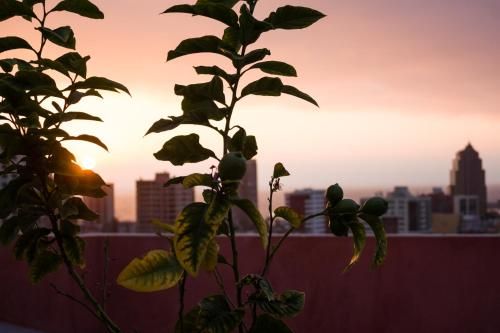 Outdoor Pictures 20