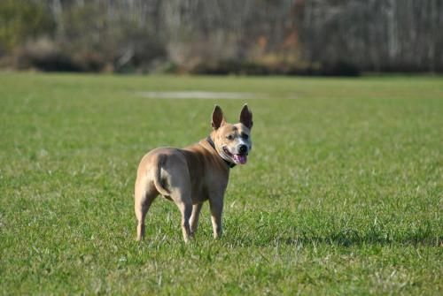 Outdoor Pictures 21