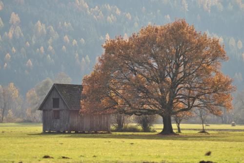 Outdoor Pictures 23